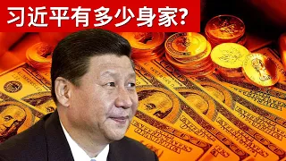 习近平有多少身家?(字幕)/How Rich Is Xi Jinping/王剑每日观察/20210406