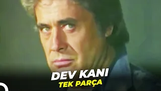 Dev Kanı | Cüneyt Arkın Eski Türk Filmi Full İzle