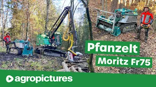 Schonende Waldarbeit mit Pfanzelt Forstraupe Moritz Fr 75, Seilwinde und Forstmulcher | Forst Doku