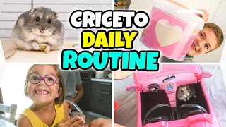 LA DAILY ROUTINE DEL NOSTRO CRICETO POLPETTA: 24 ore pucciose