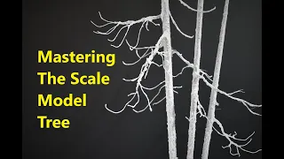 Mastering The Scale Model Tree | In The Beginning: Part 1