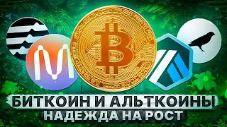 БИТКОИН И АЛЬТКОИНЫ. В НАДЕЖДЕ НА ПОСЛЕДНИЙ РОСТ АЛЬТКОИНОВ😱