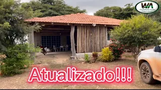 Fazenda a venda no Tocantins em Araguacema TO(atualizado)#lavoura#pecuaria