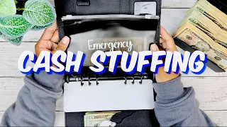 CASH STUFFING MY LARGEST YOUTUBE PAYCHECK | CASH ENVELOPES | SMALL BUSINESS | SINKING FUNDS