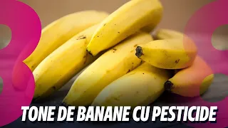 Știri: Tone de banane cu pesticide/ Gaz mai ieftin de astăzi!/ 03.05.2024