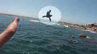 L'homme jette l'animal à l'eau à toute vitesse. Ce qui se passe ensuite fait chaud au cœur