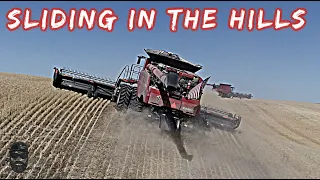 Chasing Cows with Combines!