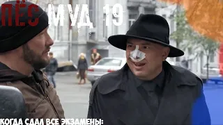 ПЁС муд 19