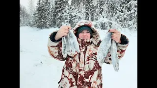 Пока я бурил лунки, ОНА наловила КУЧУ РЫБЫ / Глухозимье это не про нас.