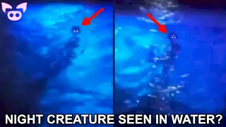 Freaky Sightings Caught on Camera That'll Mess You Up