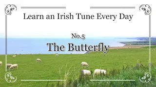 005 The Butterfly (Slip Jig, E Aeolian) Learn an Irish Tune Every Day.