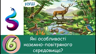 Які особливості наземно-повітряного середовища