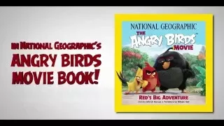 Angry Birds Movie Book