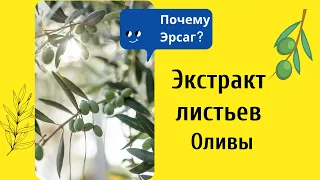 Эрсаг экстракт листьев Оливы Очистка, профилактика оливой Ersag