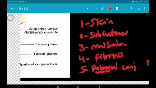 Eyelid Malpositions and Inflammations - Mohamed Idris