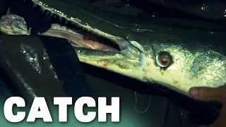 7 Foot Long Alligator Gar | River Monsters | Catch