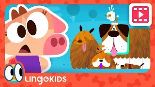 BABY BOT Knows CARING FOR PETS 🐶🐾 Cartoons for Kids | Lingokids | S1.E3