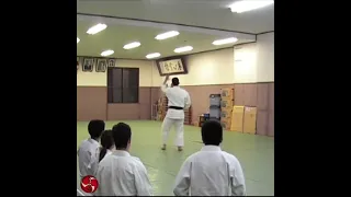 Film 8, Sakai Sensei, Shodokan Aikido, Osaka, 2010