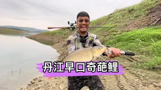 露營釣魚第五天，路亞鯉魚真有勁兒，清蒸、香煎喝早酒！