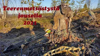 Teerenmetsästystä jousella 2021