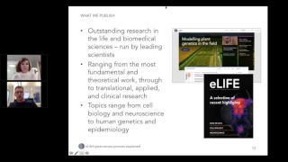 eLife's peer review process explained