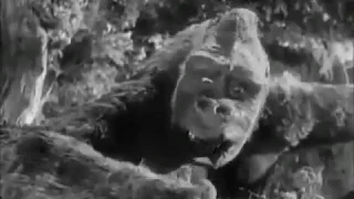 King Kong (1933) Peter Jackson Recreation - Spider Pit Lost Scene.