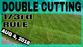 August 4th 2018 Lawn Care Update, Double Cutting the Lawn  the one third rule