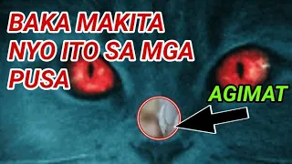 AGIMAT SA PUSA | ANO AT PARA SAAN?