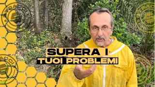 Ecco come puoi Superare i Problemi del tuo Apiario!