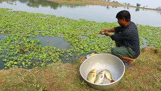 Fishing Video || Village boys know how to catch fish using all kinds of techniques || Hook fishing