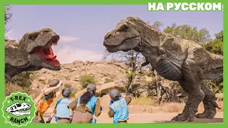 Избыток Динозавров | Изобилие Динозавров | Ти-рексы - Динозавры для детей