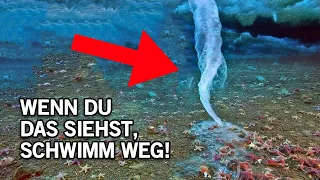 10 bizarre Unterwasserentdeckungen von Tiefseetauchern!