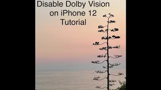 Disable Dolby Vision on iPhone 12 & it’ll make life easier!! Best Camera Mode?!