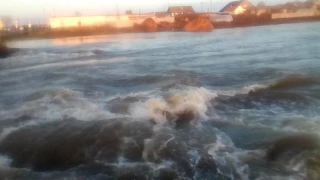 Афонькино, ишим 2017, поводок 2017, сергеевское водохранилище 2017,разлив ишима 2017