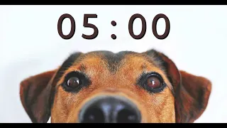 5 Minute Timer for School and Homework - Dog Bark Alarm Sound