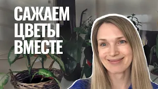 Убирайся и сажай цветы со мной #домавместе