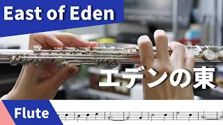 East of Eden(1955) Theme -with Sheet music / Flute,Fife