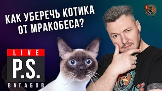 Как уберечь котика от мракобеса? Николай Вагабов. #Постскриптум