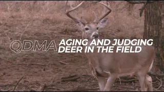 Ep. 4 - Aging And Judging Deer In The Field | QDMA's Deer Hunting 101