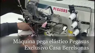 Máquina pega elástico Pegasus | Casa Berelsonas