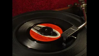 Dan & The Clean Cuts - One Love, Not Two - 1964 45rpm