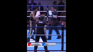 Нокаут в колено. #сават #martialarts #savate #kickboxing #кикбоксинг #shorts #knockout #нокаут