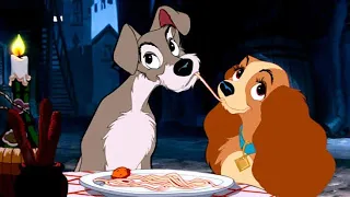 قصة حب عميقة بين كلب وكلبة 😅 the lady and the tramp