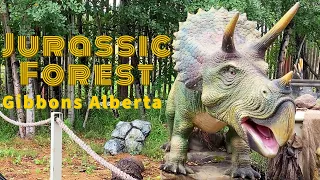 Jurassic Forest in Alberta!