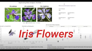 Iris Flower EDA with Oracle Analytics