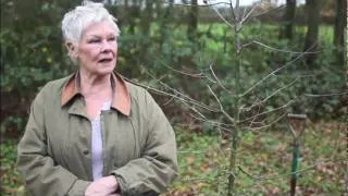 Dame Judi Dench explains why everyone should plant a tree in 2012