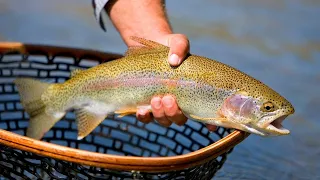 How to Clean Trout Without Removing the Head!