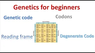 Genetics for beginners| Genetic Code and codons |