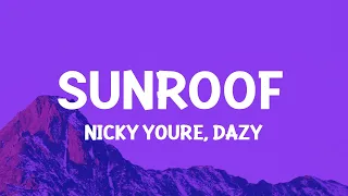 Nicky Youre, dazy - Sunroof (Lyrics)