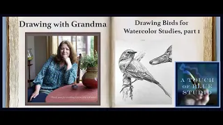 Drawing Birds for watercolor studies, Part 1: Drawing with Grandma: Lesson #35